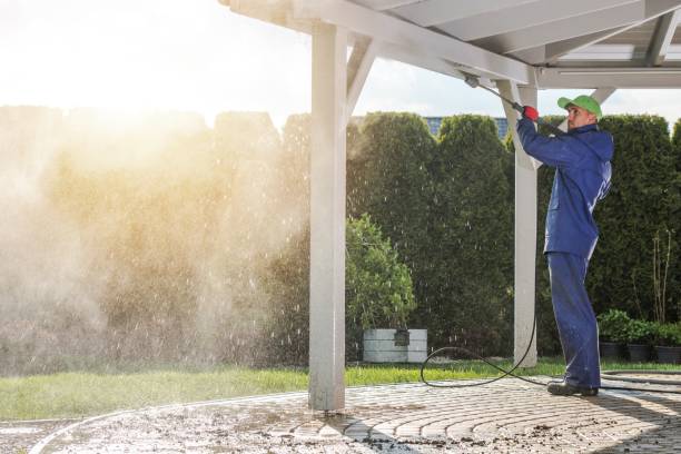Best Sidewalk and Walkway Cleaning  in Manistique, MI